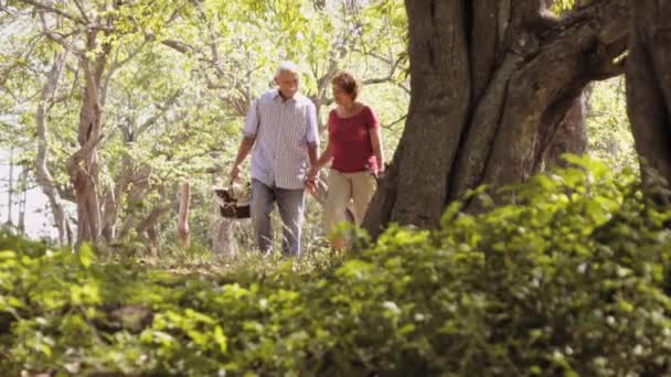 1-Senior Man vrouw oud koppel doen picknick — Stockvideo