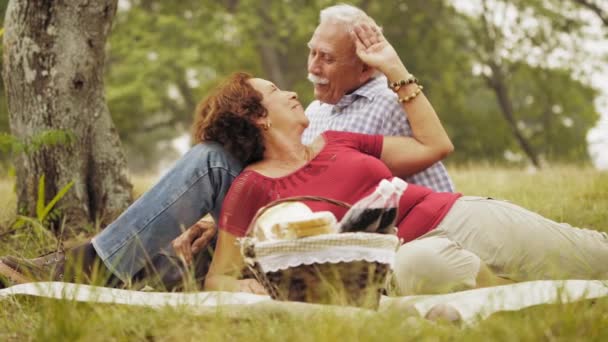 4-Slowmotion Couple de personnes âgées Homme et femme âgés faisant pique-nique — Video