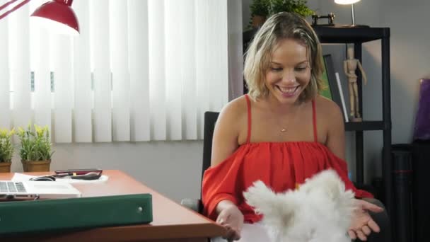 1-femme d'affaires jouant avec le chien de compagnie dans le bureau — Video