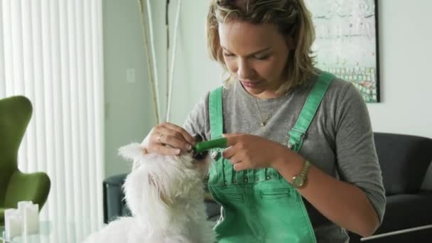 5-Mulher limpeza dentes da boca do cão com escova de dentes — Vídeo de Stock