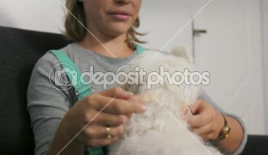 Kadın pire tasması köpeğe uygulanıyor 