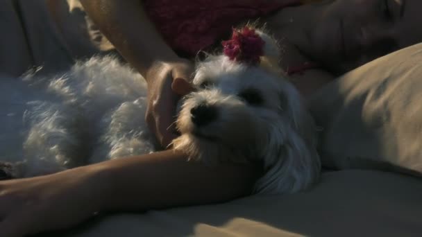 女人抚摸狗 — 图库视频影像