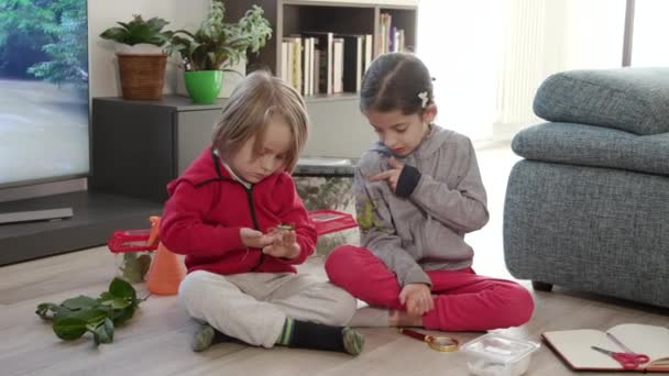 Happy Children Playing Stick Insects Walkingsticks Pets Home Boy Girl — Vídeo de stock