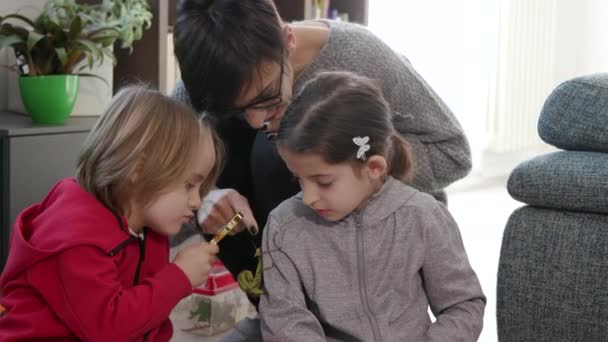 Happy Family Playing Stick Insects Walking Sticks Pets Mom Children — Αρχείο Βίντεο