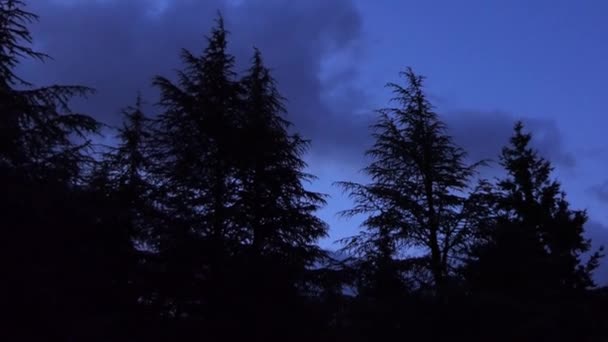 Pohled Okouzlující Dřevěnou Chatu Borovém Lese Noci Krásná Útulná Chalupa — Stock video
