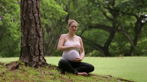 10 из 10 Беременная женщина, медитация йоги возле дерева в парке, здоровье — стоковое видео
