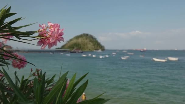 View of coast, Isla Taboga — стоковое видео