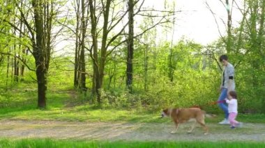 Köpek yürüyen kadın anne anne bebek kız çocuk çocuklar evde beslenen hayvan