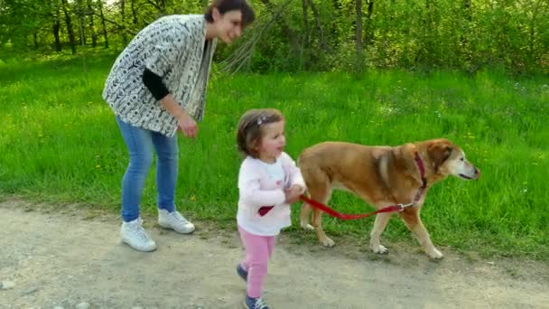 Μαμά και κόρη χαμογελώντας με το σκυλί κατοικίδιων ζώων αναψυχής στο πάρκο — Αρχείο Βίντεο