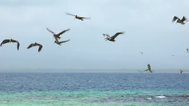 Islas San Blas Panamá Centroamérica-5 — Vídeos de Stock