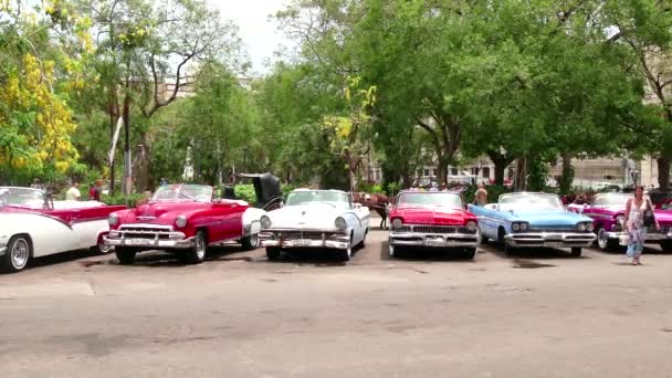 Oude auto's geparkeerd In de straten van Havana Cuba — Stockvideo