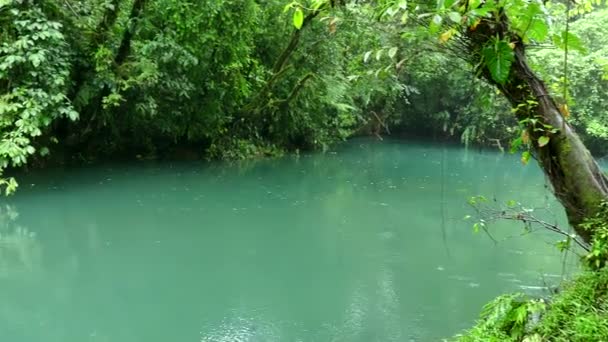 Mavi nehir akarsu Lagoon yağmur ormanları orman Milli Parklar Kosta Rika — Stok video