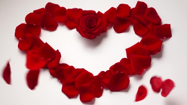 14 dag van de Valentijnskaart hart vorm met Rose Petals Slowmotion 120p — Stockvideo