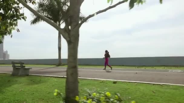 16 Mujer corriendo y haciendo ejercicio al aire libre por la mañana — Vídeo de stock