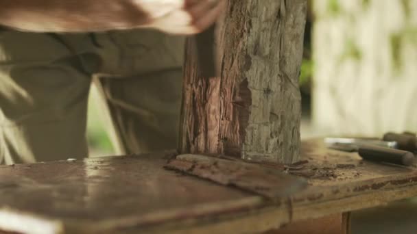 Mesa de trabalho da limpeza de 6-Sculptor da estátua de madeira e cinzelamento — Vídeo de Stock