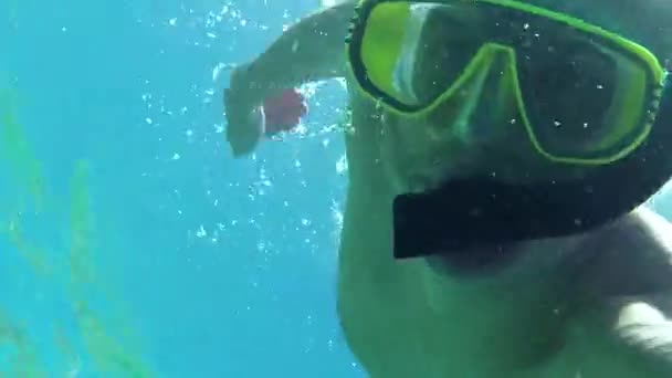 Man Snorkeling Swimming Diving In Sea Palau Micronesia Pacific Ocean — Stock Video