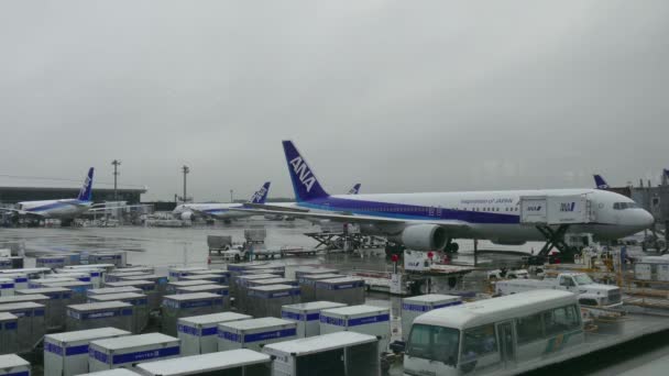 飞机飞机日本终端成田机场东京日本亚洲 — 图库视频影像