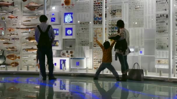 Familia Padre Madre Hijo Hijo Visitante Museo de Historia Natural Tokio — Vídeos de Stock