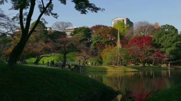 Koishikawa Korakuen Gardens Park Осенняя листва деревьев Токио Япония — стоковое видео