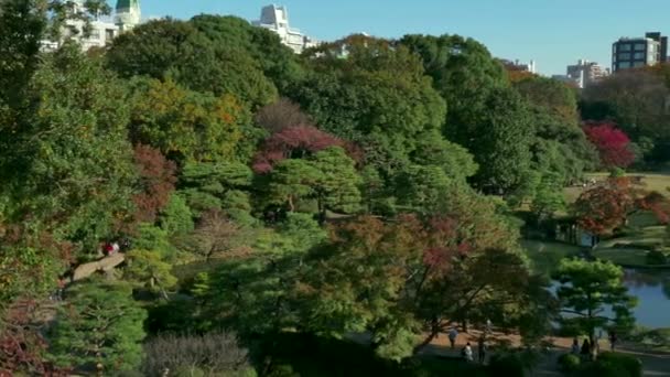 Gärten Park Blick Herbst Bäume See Tokio Japan Asien — Stockvideo
