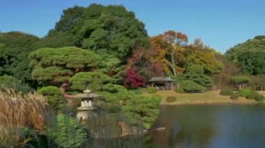 Shinjuku Gyoen Ulusal Bahçe sonbahar sonbahar manzara Tokyo Japonya Asya