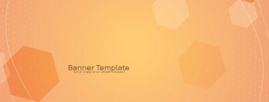 Zarif altıgen şekiller geometrik bayrak tasarım vektörü