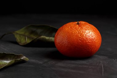 Siyah arka planda izole edilmiş mandalina. Taze mandarin narenciyesi. Yeşil yapraklı Clementine meyvesi, sağlıklı organik yiyecekler. Mandalina hasadı çiftlik bahçesinden ya da bahçeden, Noel bitkisinden