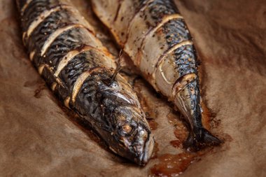 Grilled mackerel fish, bbq cooked seafood barbecue. Fish meat grill cooking whole. Baked scomber, grilling dish, japan, germany or spanish gastronomy, outdoor smoke meal. Barbeque mackerel