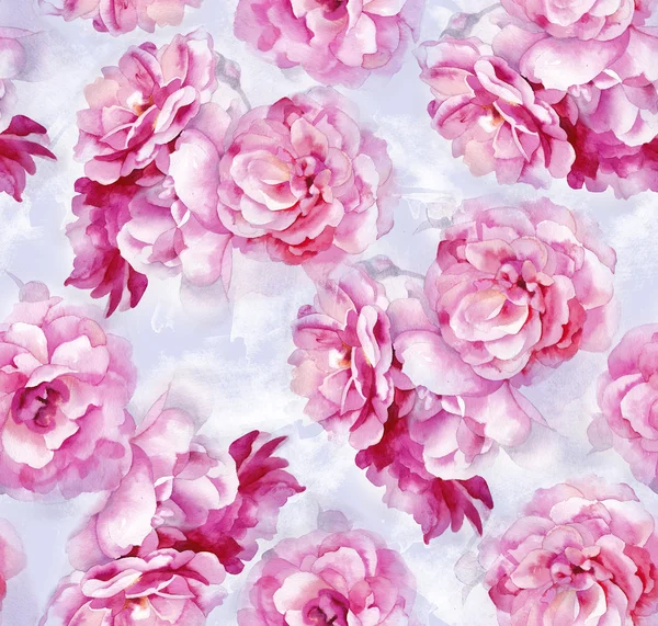 Watercolor pink roses pattern — Stock Photo, Image