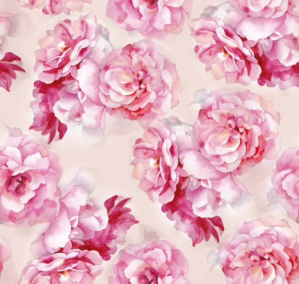 Warna merah muda cat air pola mawar — Stok Foto
