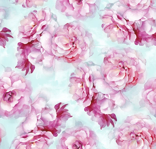 Watercolor pink roses pattern — Stock Photo, Image