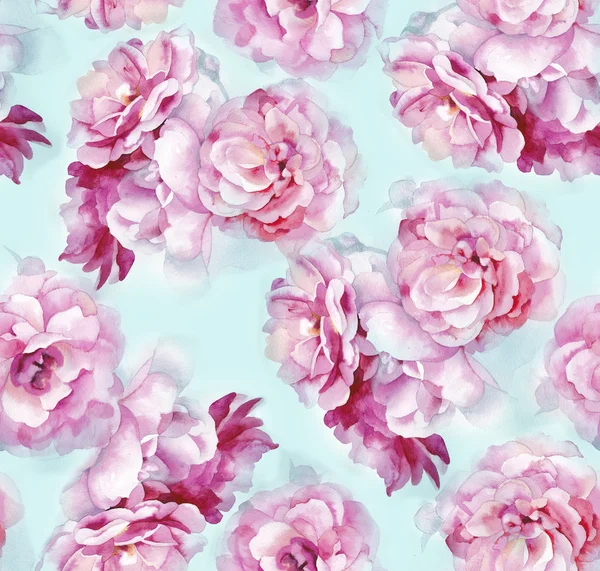 Watercolor pink roses pattern — Stock Photo, Image