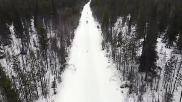 ドローン冬の森の中で訓練されたハスキー犬の山のパス、ハスキー犬のそりに乗るのチームと犬ぞりハンドラーの空中ビュー — ストック動画