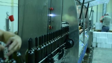 Şarap fabrikasında şarap şişeleriyle taşıyıcı. Beyaz şarap üretimi, şişe yıkama ve doldurma.