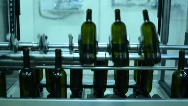 Trasportatore con bottiglie di vino presso la fabbrica di vino produzione di vino bianco, lavaggio e riempimento delle bottiglie — Video Stock
