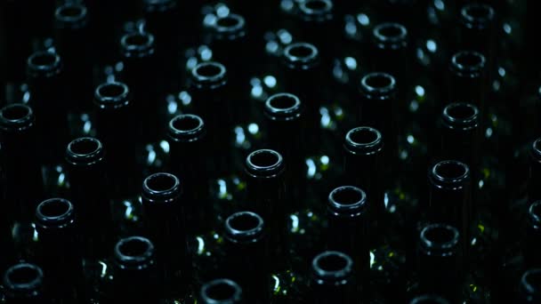 Mladá běloška si bere prázdnou láhev ve vinotéce. výroba bílého vína — Stock video