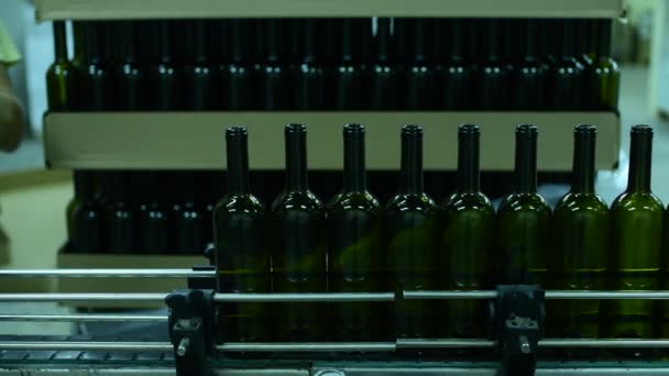 Transportör med vinflaskor vid vinfabriken tillverkning av vitt vin, flasktvätt och fyllning — Stockvideo