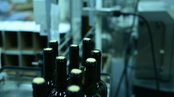 Przenośnik z butelkami wina w fabryce wina produkcja białego wina, mycie i napełnianie butelek — Wideo stockowe