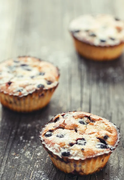 Yaban mersini ile caked — Stok fotoğraf