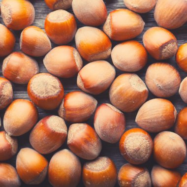 Fındık arka plan, yakın çekim