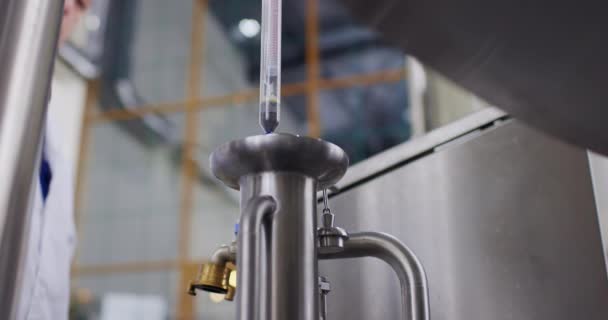 बीयर का घनत्व माप। ब्रूवर परीक्षण बीयर शराब की भठ्ठी कारखाने में। धीमी गति — स्टॉक वीडियो