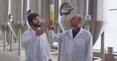 Bira fabrikasında taze biranın kalitesini test eden iki adam. Laboratuvar önlüğü giymiş biracılar bira tadıyor ve tartışıyorlar..