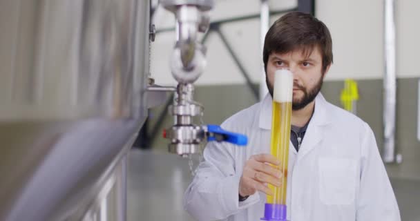 남자들은 양조장에서 신선 한 맥주의 품질을 시험 한다. 실험실 코트를 입고 유리로 맛을 낸 맥주를 만드는 브루어 — 비디오