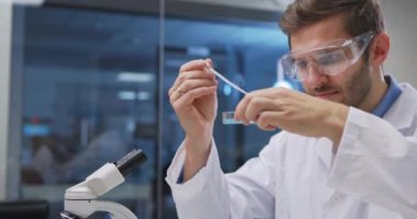 Laboratuvarda tüplerden numune alan bilim adamı Petri kabı kullanıyor. Doktor tıbbi araştırma yapıyor. Laboratuvar araçları: mikroskop, test tüpleri, ekipmanlar.