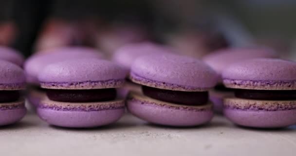 Vue rapprochée de nombreuses rangées de macarons lilas macarons sur fond blanc. Dessert classique français. — Video