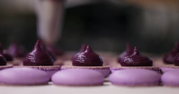 Prozess der Herstellung von Makronenmakronen, französischem Dessert, Auspressen des Teiges Form Kochbeutel — Stockvideo