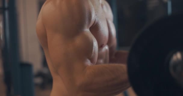 Knappe sterke atletische blanke mannen pompen biceps spieren met bar in de sportschool, fitness en bodybuilding concept. Langzame beweging, zijaanzicht — Stockvideo