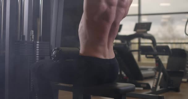 Sportlicher, hemdsloser junger Sportler, der im Fitnessstudio Übungen mit der Hantelstange macht. Schöne Männer, die den Bizeps-Muskel hochpumpen. Zeitlupe — Stockvideo