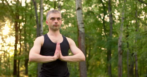 Gros plan des paumes pliées hommes portrait méditer dans le parc le matin. Pratique du yoga au lever du soleil — Video