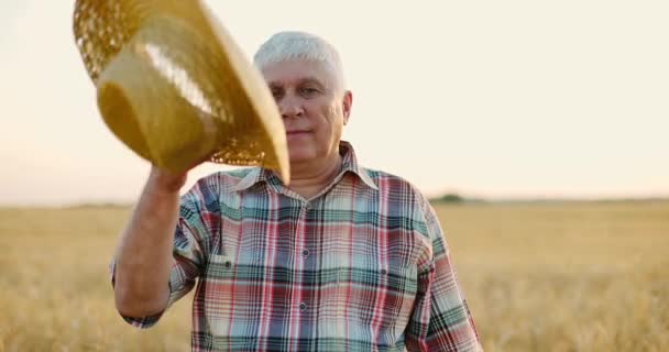 Yaşlı adam buğdayın arasında duruyor. Çiftçi hasır şapka takıyor ve sarı tarlada gülümsüyor. — Stok video